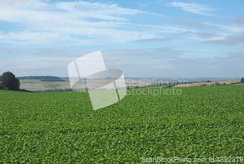 Image of English country panorama in Salisbury