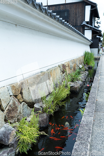 Image of Japanese Garden and river canal of Koi fish