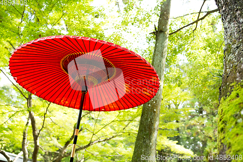 Image of Japanese red umbrella