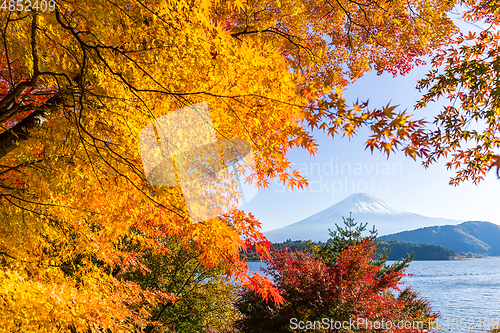 Image of Mount Fuji at Autumn