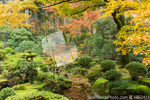 Image of Autumn landscape