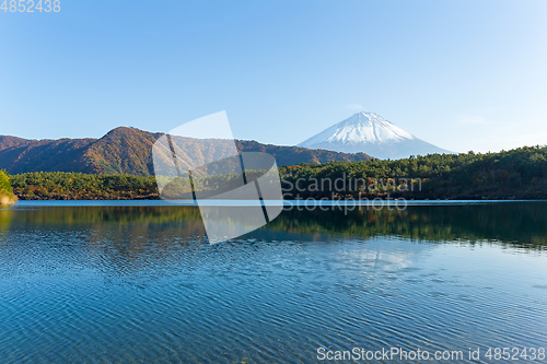 Image of Mount Fuji in Saiko Lake
