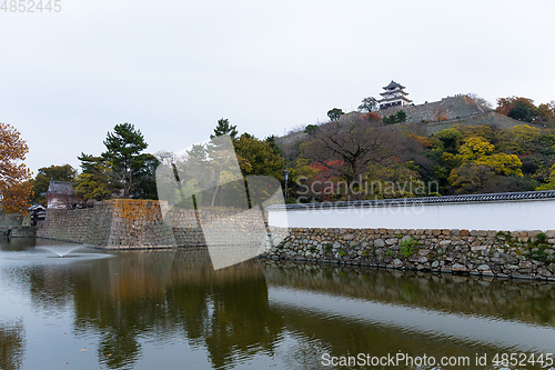 Image of Marugame Castle in Japan at autumn