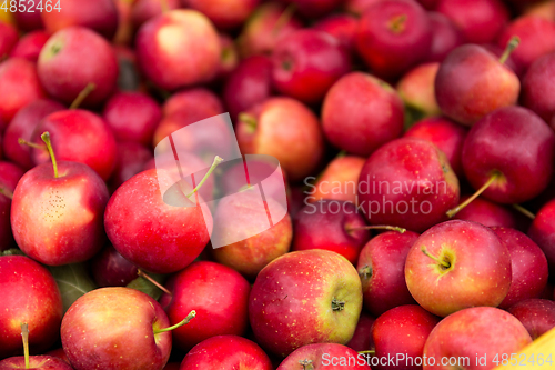 Image of Red apple