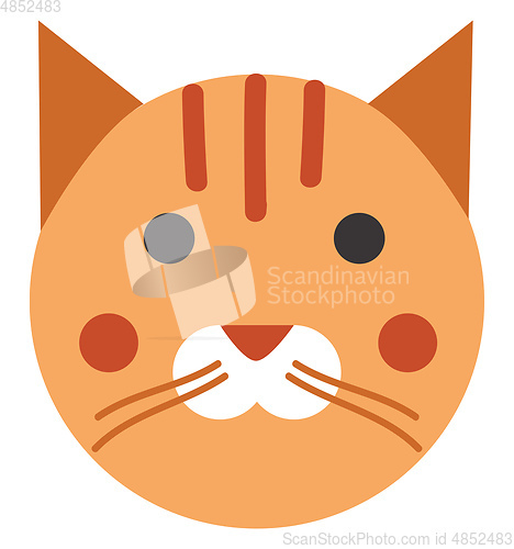 Image of Ginger cat vectior illustration 