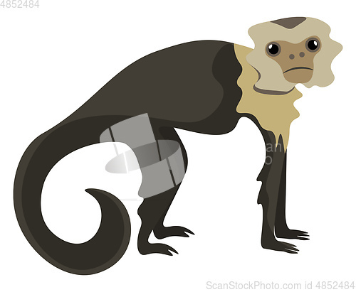 Image of Drawing of a brown capuchin monkey set on isolated white backgro