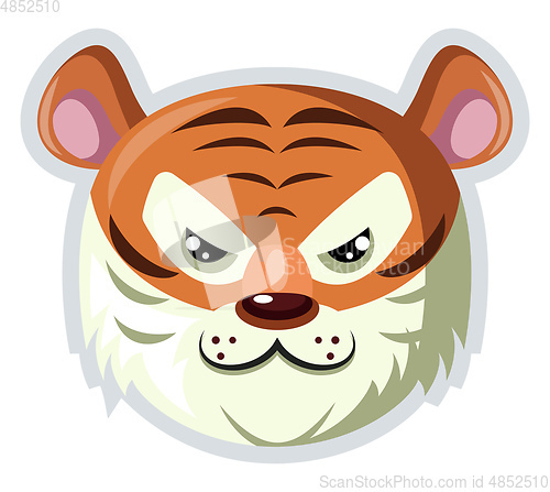 Image of White Tiger, vector color illustration.