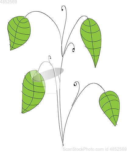 Image of Cartoon big leafe plant vector illustration on white background
