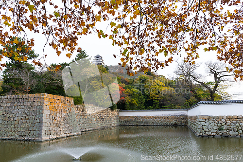 Image of Marugame Castle in Autumn