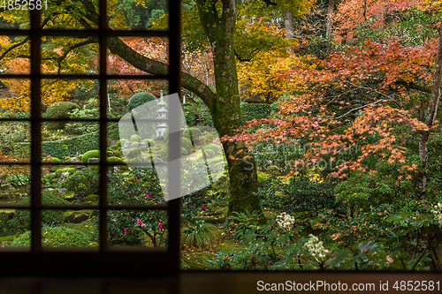 Image of Japanese window in autumn season