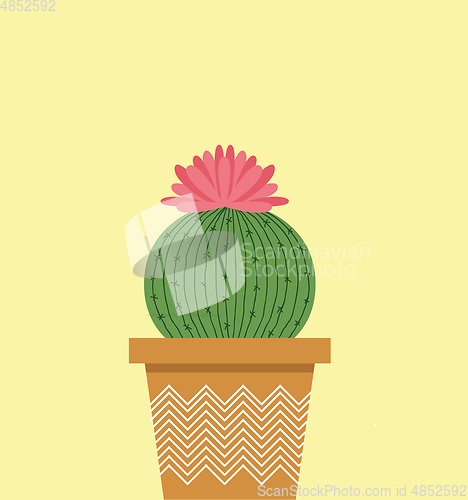 Image of Cactus with a flower vector or color illustration
