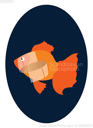 Image of A Goldfish swimming in the fishbowl looks beautiful vector or co