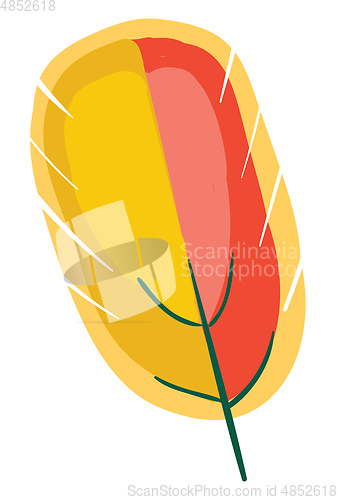 Image of Oval shape colorful feather vector or color illustration