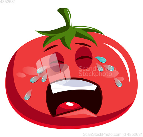 Image of Sad red tomato crying illustration vector on white background