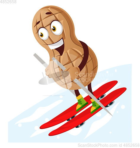 Image of Peanut ski in the snow, illustration, vector on white background