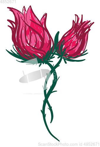 Image of Two red rose vector or color illustration