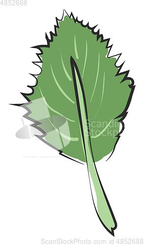 Image of Clipart of an ovate green leaf with a margin and alternate venat