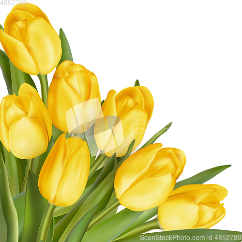 Image of Bouquet of yellow tulips. EPS 10