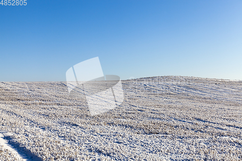 Image of Snow drifts in winter