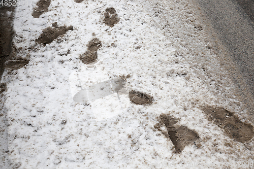 Image of Traces on the snow