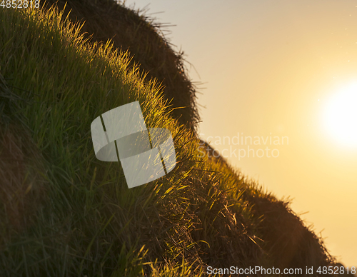 Image of agricultural field with