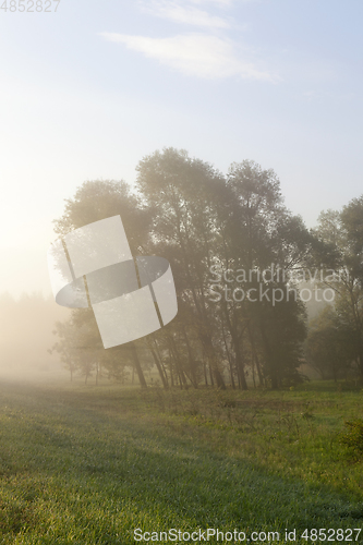 Image of misty morning