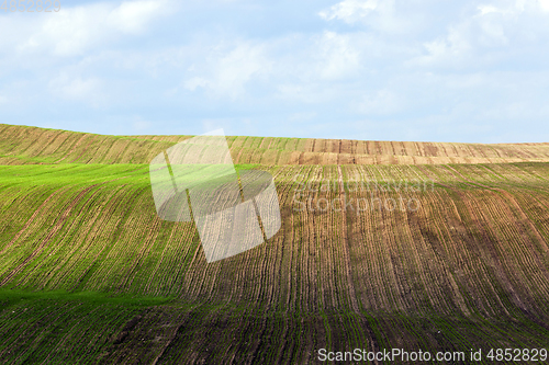 Image of field with grass