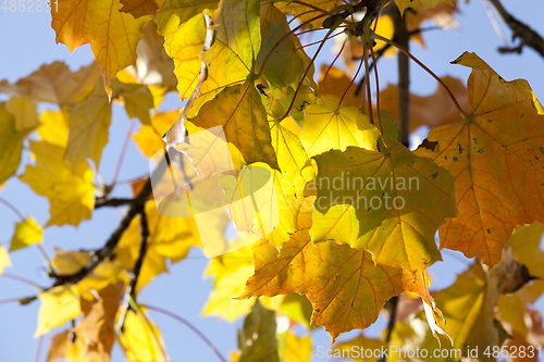Image of sunny autumn day