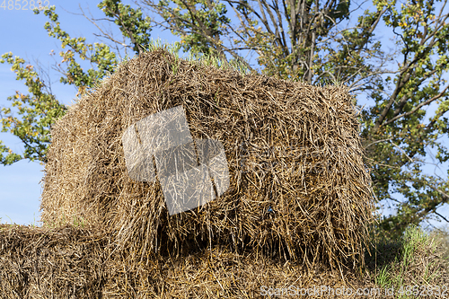 Image of square stack of straw