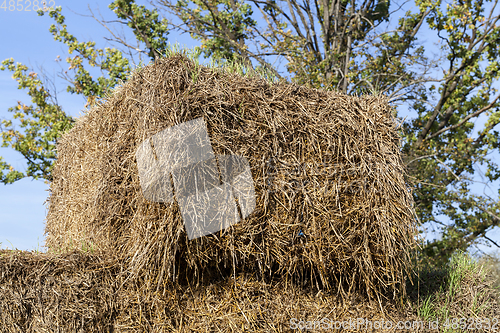 Image of square stack of straw