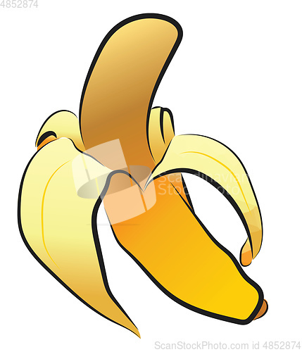 Image of An yellow ripped banana fruit vector or color illustration