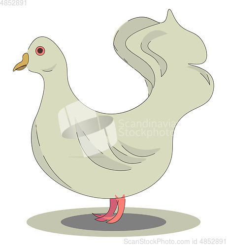 Image of A white dove vector or color illustration