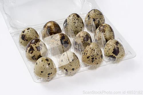 Image of boxed quail eggs