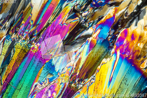 Image of Trisodium citrate microcrystals