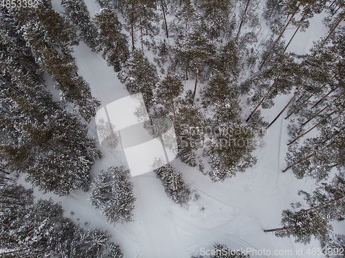 Image of Aerial view of winter forest.