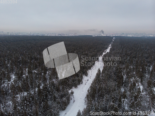 Image of Aerial view of winter forest.