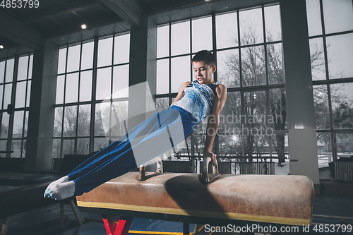 Image of Little male gymnast training in gym, flexible and active. Caucasian fit little boy, athlete in sportswear practicing in exercises for strength, balance.