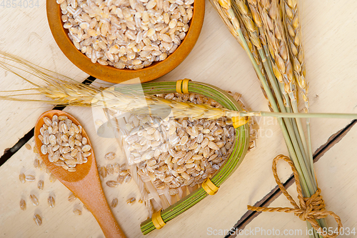 Image of organic wheat grains