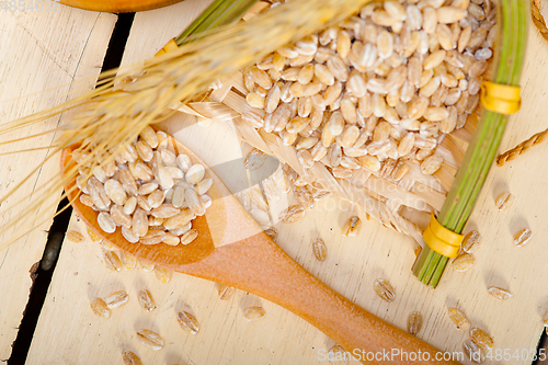 Image of organic wheat grains