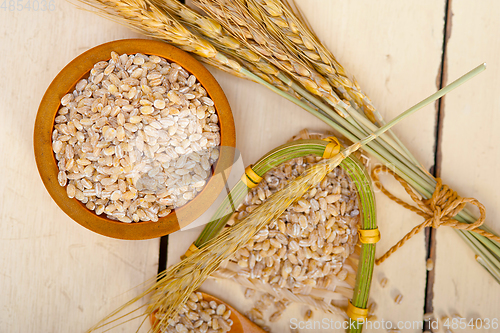 Image of organic wheat grains