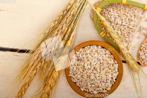 Image of organic wheat grains