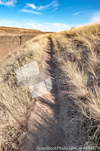 Image of Grass Field in Fall, Palouse Falls State Park, WA