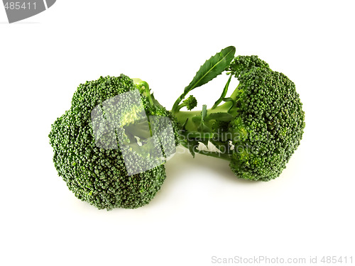 Image of broccoli