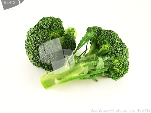 Image of broccoli