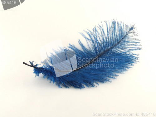 Image of Blue feather