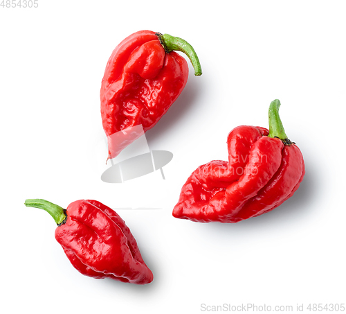 Image of hot red ghost peppers