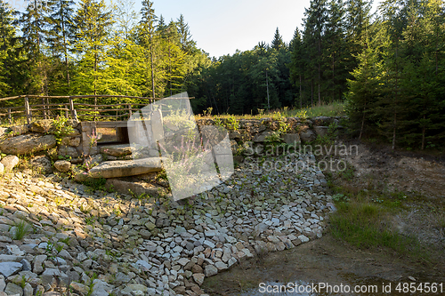 Image of pond in the summer forest