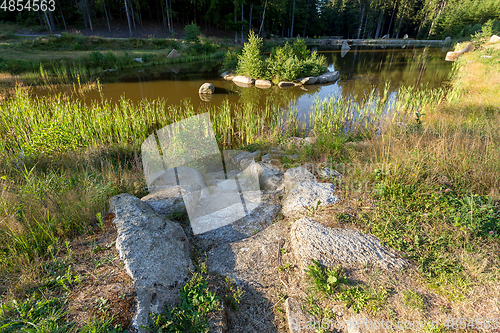 Image of pond in the summer forest