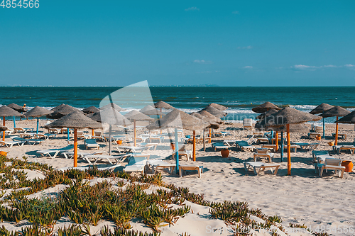 Image of Beach umbrellas on sandy Tunis beach