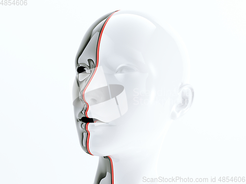 Image of human head separated by red line as symbol of balance and divers